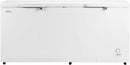 Hisense 660 Liter Chest Freezer Double Door White Model FC-66DD4SA