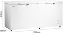 Hisense 660 Liter Chest Freezer Double Door White Model FC-66DD4SA