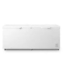 Hisense 650 Liter Chest Freezer Double Door Silver- FC-65DD4SA