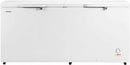 Hisense 650 Liter Chest Freezer Double Door Silver- FC-65DD4SA