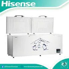 Hisense 650 Liter Chest Freezer Double Door Silver- FC-65DD4SA